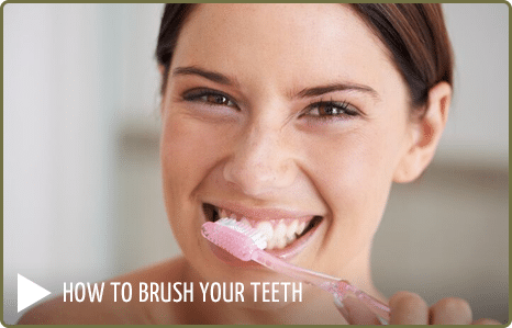 Brush your teeth Highlands Family Dental Center Renton WA